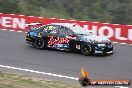 Bathurst 1000 2008 - Bathurst-20081011_0629